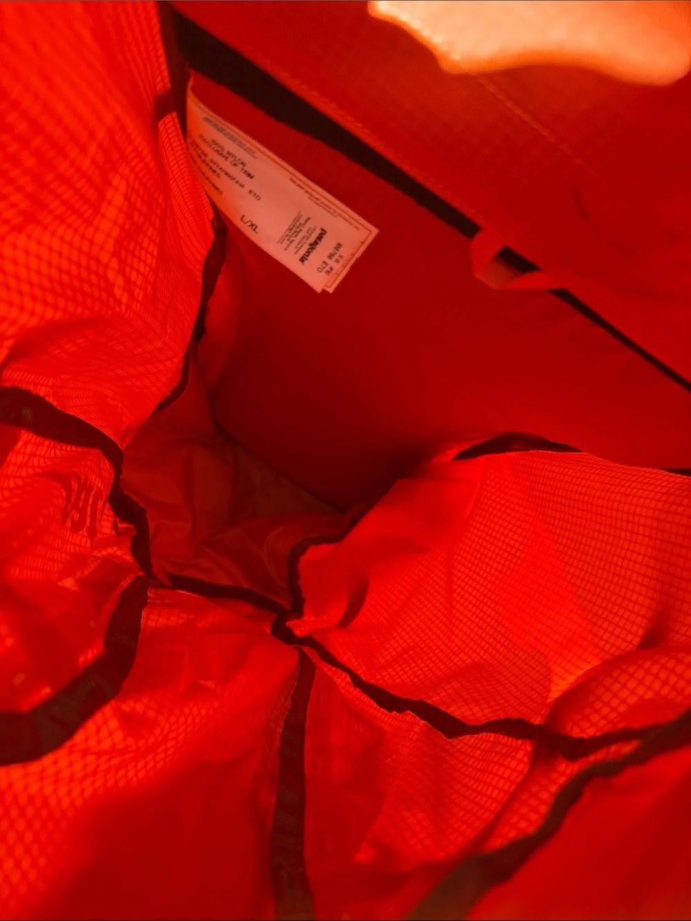 Patagonia Ascensionist 35L backpack